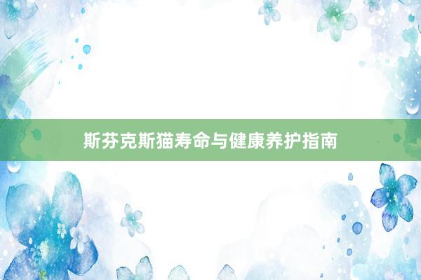 斯芬克斯猫寿命与健康养护指南