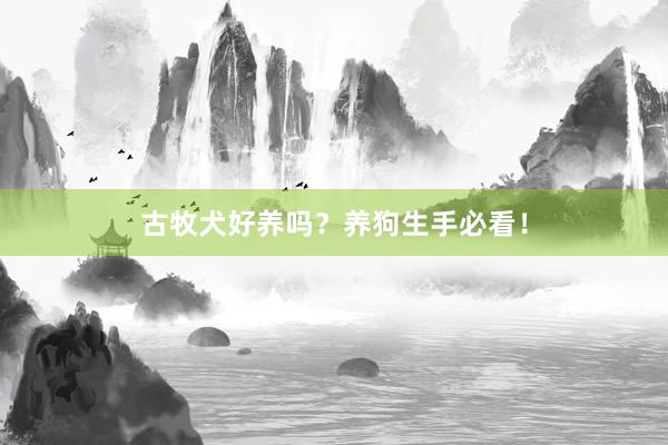 古牧犬好养吗？养狗生手必看！